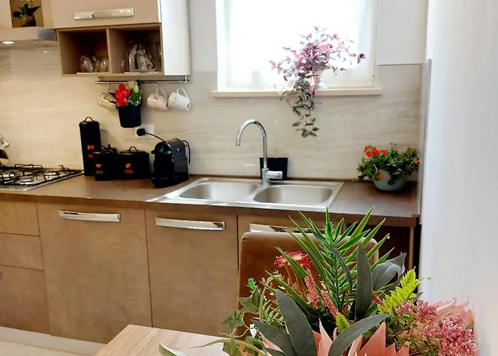 Piccolo Deluxe Duplex *