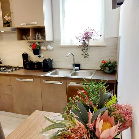 Piccolo Deluxe Duplex *